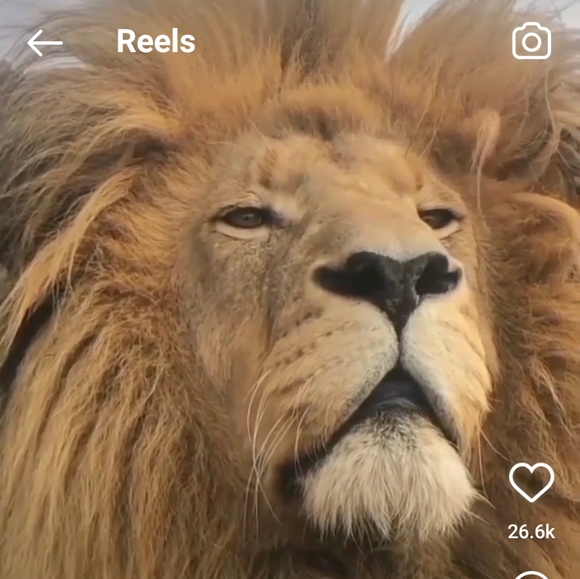 Meet your Posher, Samuel - Picture 1 of 1